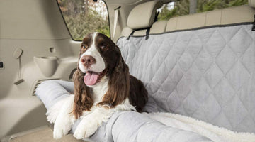 What to Know Before Buying a Car Travel Dog Bed