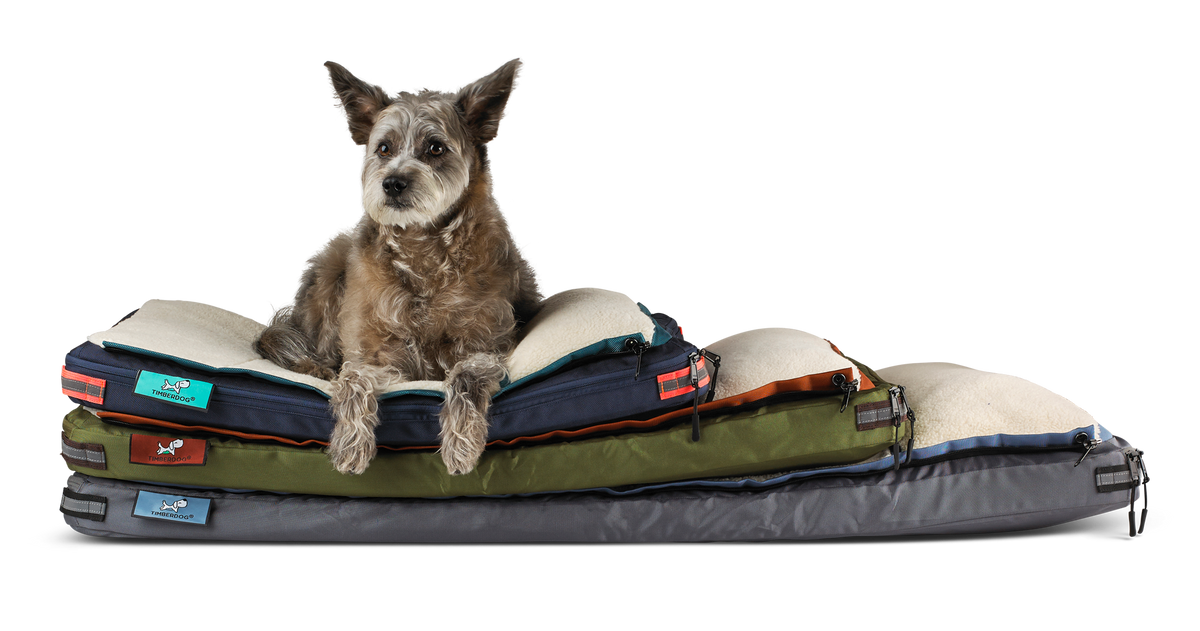 Yes a Dog Suitcase Really Does Exist TIMBERDOG