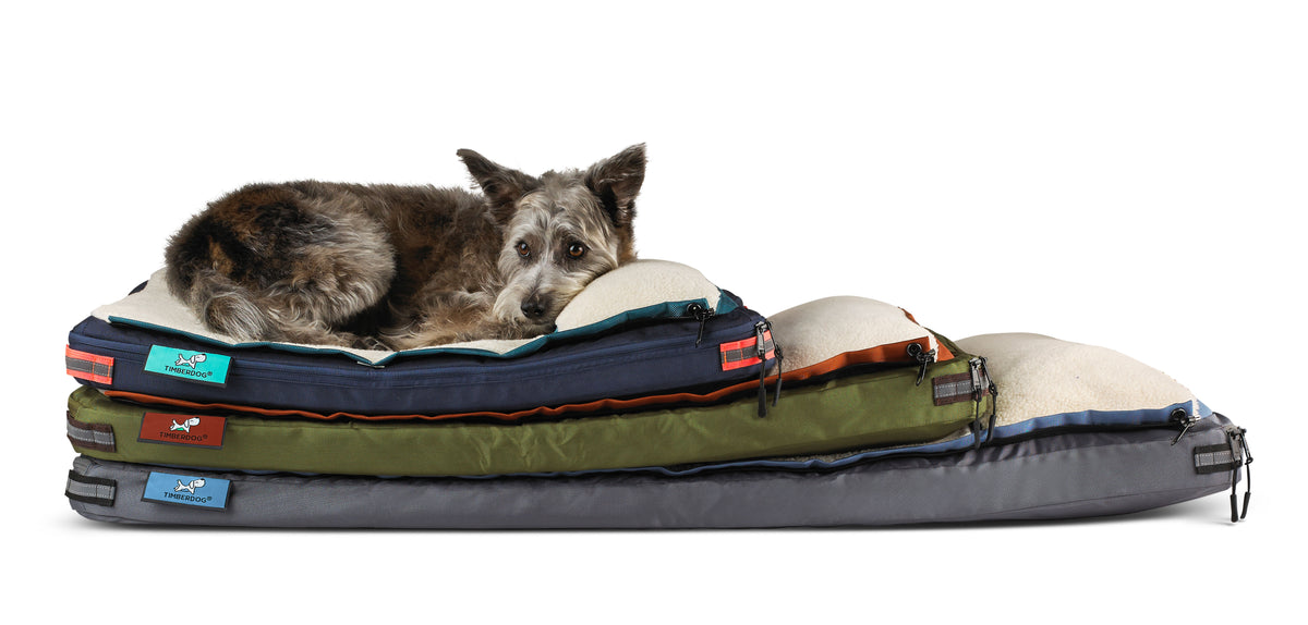 Timber 2024 dog bed