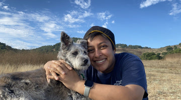 How to Make Your Dog Fall in Love With You