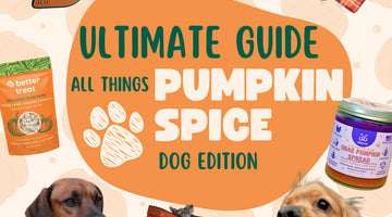 The Ultimate Guide for all Things Pumpkin Spice for your Dog