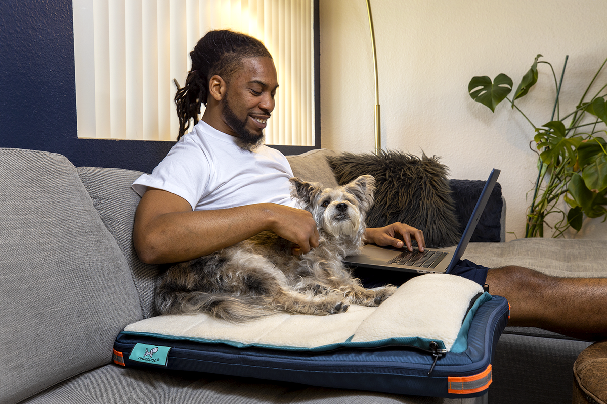 Timber dog outlet bed