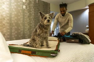 RuffRest: A Massive Upgrade to the Ol’ Dog Cushion