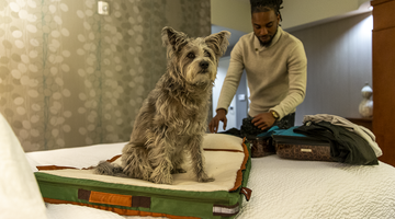 RuffRest: A Massive Upgrade to the Ol’ Dog Cushion