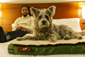 A Dog Sleeping Mat Vs. RuffRest Ultimate Pet Bed