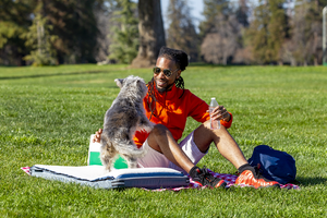 Timberdog Makes the Ultimate Camp Beds for Dogs