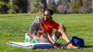 Timberdog Makes the Ultimate Camp Beds for Dogs