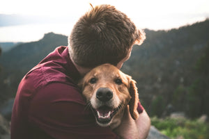 When to Seek Professional Help for Your Dog