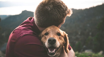 When to Seek Professional Help for Your Dog