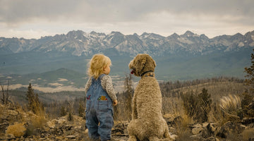 Is Your Dog Safe Around Babies and Kids?