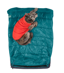 Bird's eye view of small dog on medium RuffRest dog bed with dog sleeping bag, dog beds near me