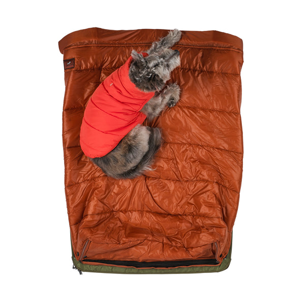 Patented brown or rust colored pet blanket and pet sleeping bag feature of the RuffRest medium dog bed, with small, jacketed dog laying on top, best dog beds for small dogs, dog beds for large dogs, dog sleeping in bed