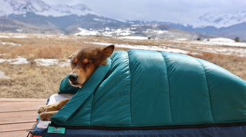Timberdog's RuffRest® is the Best Nesting Dog Bed on the Market - Here's Proof