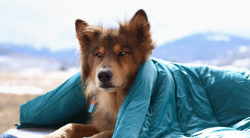 Timberdog's RuffRest® Becomes First Dog Bed on Market to Receive R-Value Rating