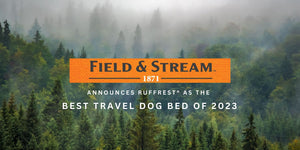 The Best Outdoor Dog Bed, According to Field & Stream