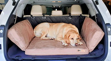 Travel Pet Bed Tips