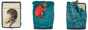 Finding the Best Dog Camping Bed
