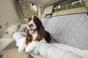 What to Know Before Buying a Car Travel Dog Bed