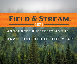 The Best Outdoor Dog Bed, According to Field & Stream