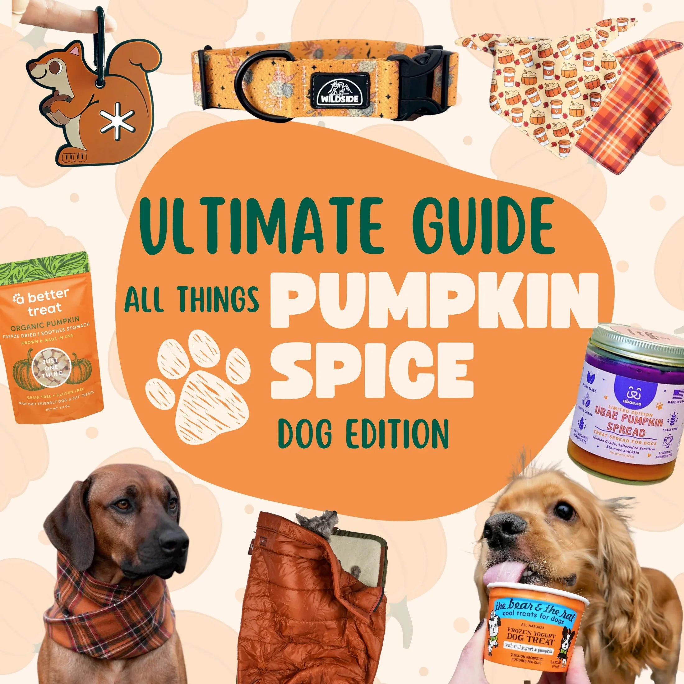 Freeze dried hot sale pumpkin for dogs