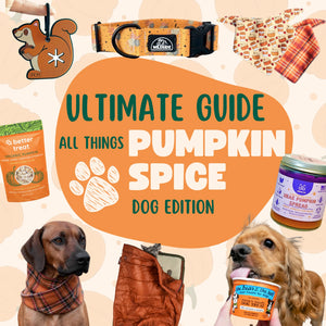 https://timberdog.com/cdn/shop/articles/The_ultimate_guide_for_all_things_pumpkin_spice_Dog_Edition_1_300x.webp?v=1697948549