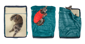 Dog Camping Gear: Everything Your Pup Needs for the Great Outdoors