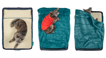 Dog Camping Gear: Everything Your Pup Needs for the Great Outdoors