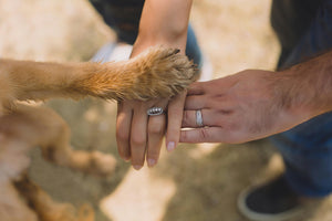 Finding the Right Dog for Your Family