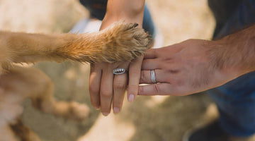 Finding the Right Dog for Your Family