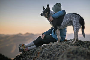 Choosing the Best Backpacking Gear for Your Dog: A Detailed Guide