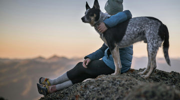 Choosing the Best Backpacking Gear for Your Dog: A Detailed Guide