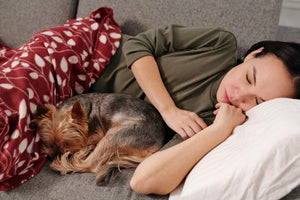 Is Your Dog Getting Quality Sleep? How to Tell and Improve Their Rest