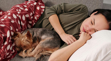 Is Your Dog Getting Quality Sleep? How to Tell and Improve Their Rest