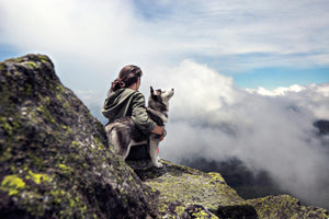 10 Pieces of Eco-Friendly Dog Travel Gear That’ll Make You the Coolest (and Greenest) Pack on the Trail