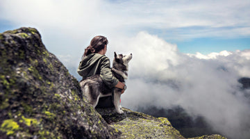 10 Pieces of Eco-Friendly Dog Travel Gear That’ll Make You the Coolest (and Greenest) Pack on the Trail