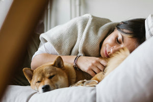 Should Dogs Be Allowed on Furniture?