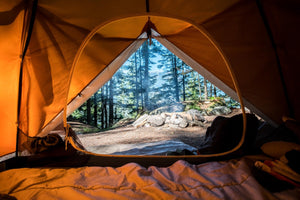 daytime forest view from inside an orange colored tent