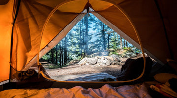 daytime forest view from inside an orange colored tent