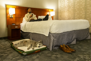 Brandon, our model, lounges on his hotel bed and watches TV, while his dog sleeps on her RuffRest pet bed below, dog beds for large dogs, dog bed for small dogs