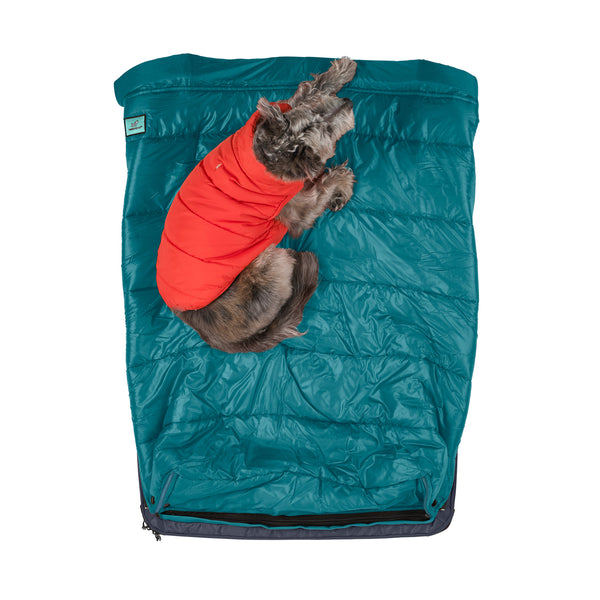 Patented teal or blue colored pet blanket and pet sleeping bag feature of the RuffRest medium dog bed, with small, jacketed dog laying on top, dog beds for large dogs, best dog beds for small dogs, dog sleeping in bed