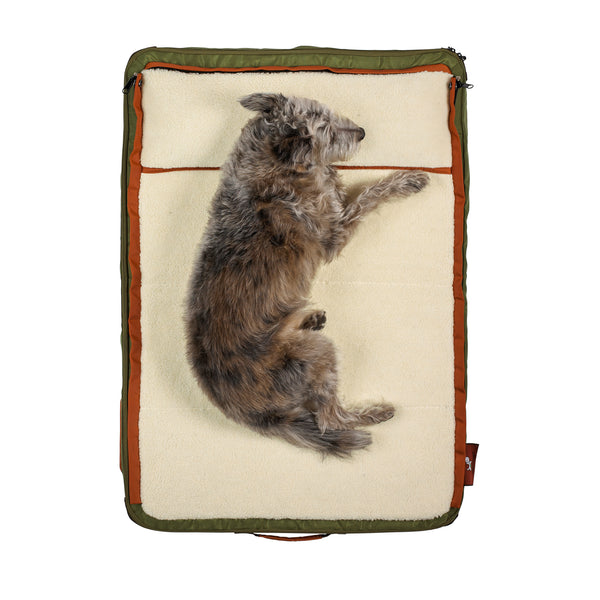 top view of small dog laying on Sherpa fleece, on medium green dog bed, best dog beds for small dogs, dog beds for large dogs, dog sleeping in bed