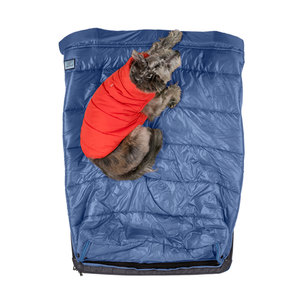 Patented light blue colored pet blanket and pet sleeping bag, a feature of the RuffRest medium dog bed, with small, jacketed dog laying on top, dog beds for large dogs, best dog beds for small dogs, dog sleeping in bed
